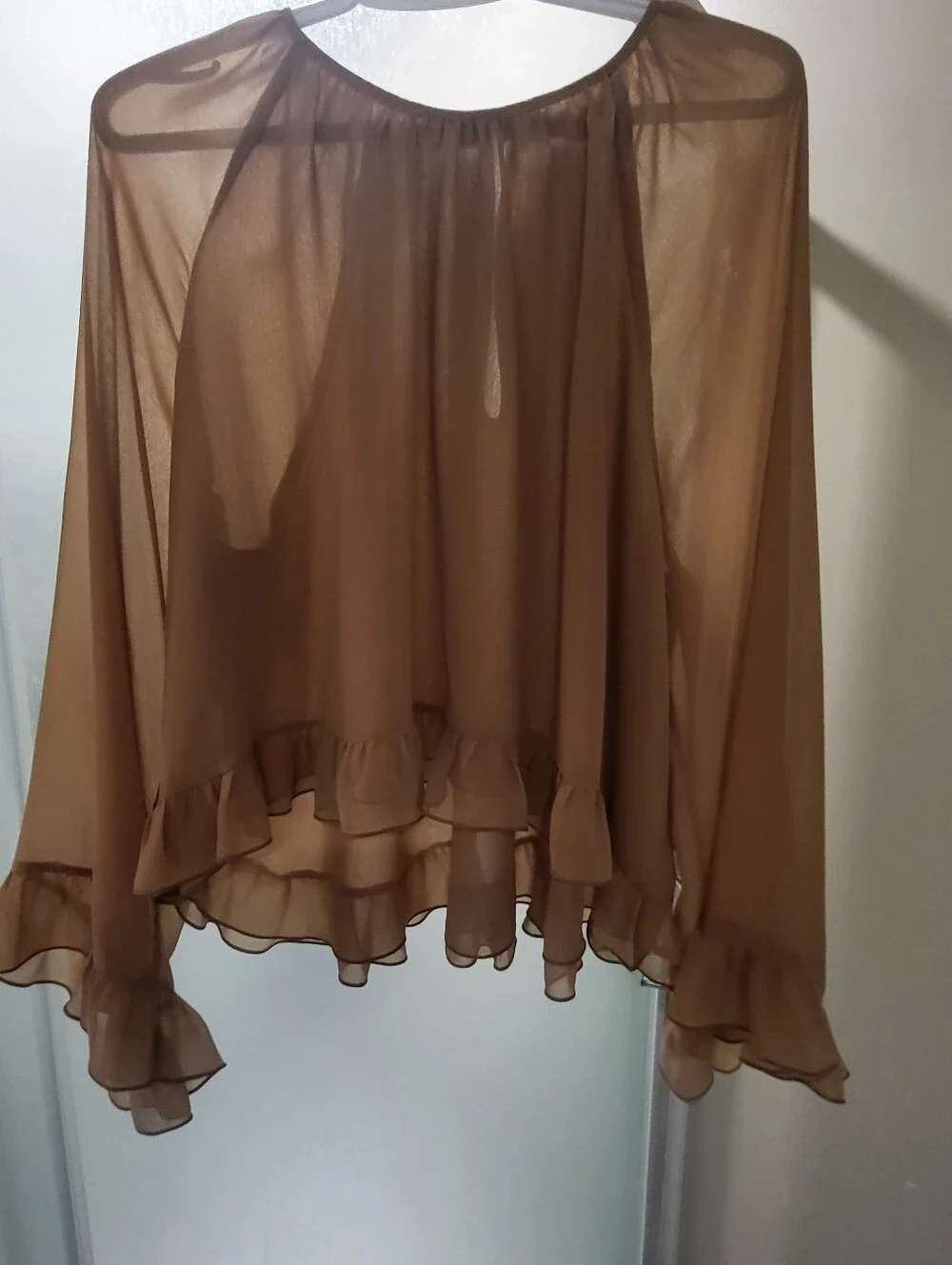 Womans Sheer Top - Picture 1 of 3